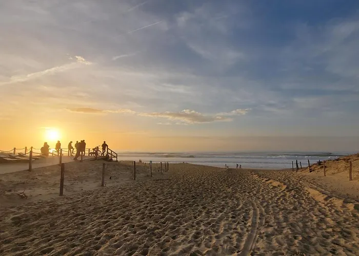 Ultra Cosy Et Chic Avec Vue Sur L'ocean 3* شقة *